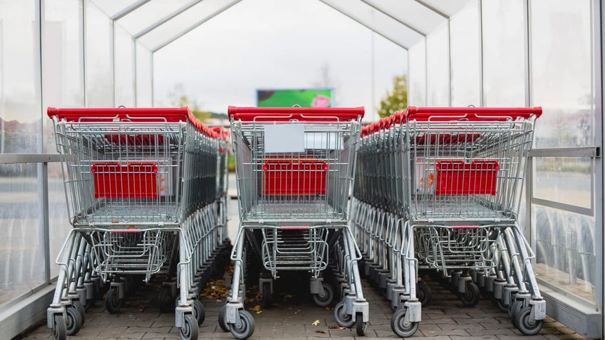 Novig e a publicidade com nudez: limites legais e riscos
